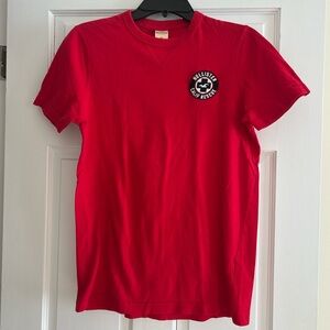 Hollister t-shirt / size: M mens